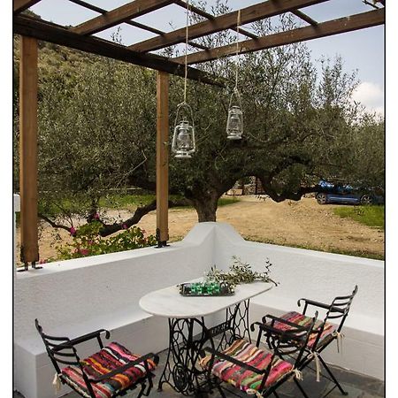 Villa Liodentro House à Karpathos Extérieur photo