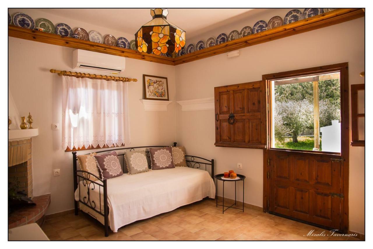 Villa Liodentro House à Karpathos Extérieur photo