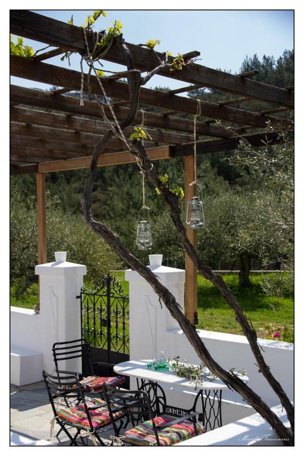 Villa Liodentro House à Karpathos Extérieur photo