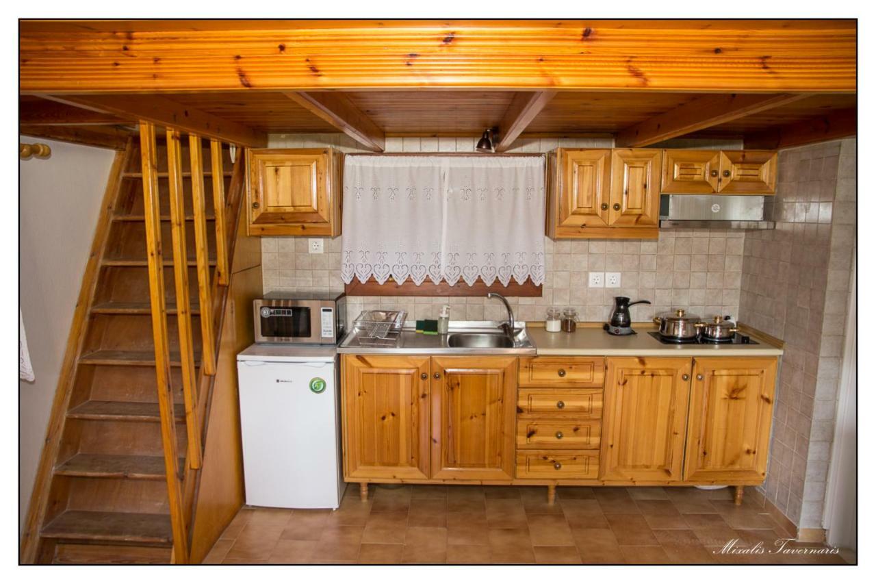 Villa Liodentro House à Karpathos Extérieur photo