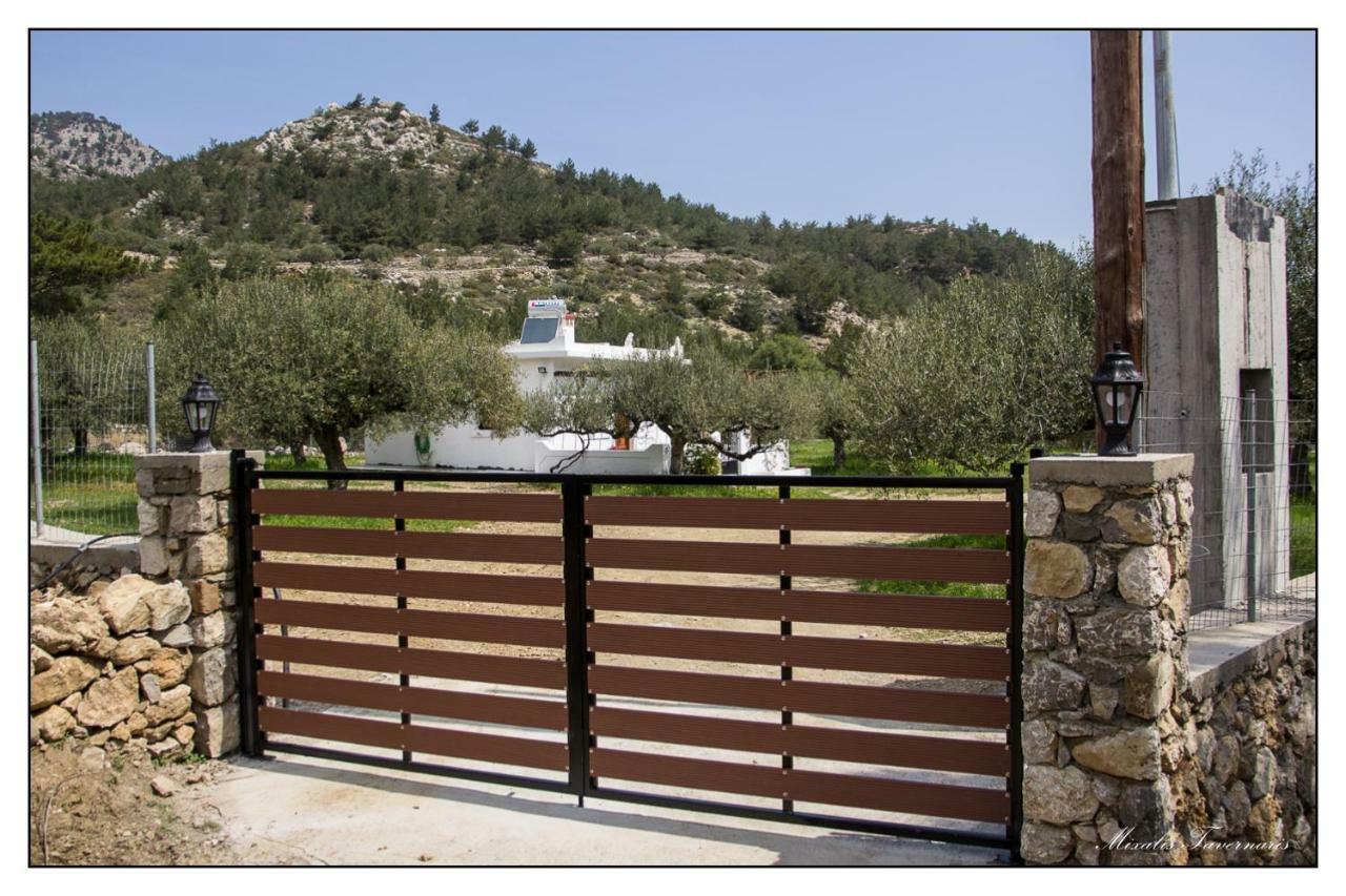 Villa Liodentro House à Karpathos Extérieur photo