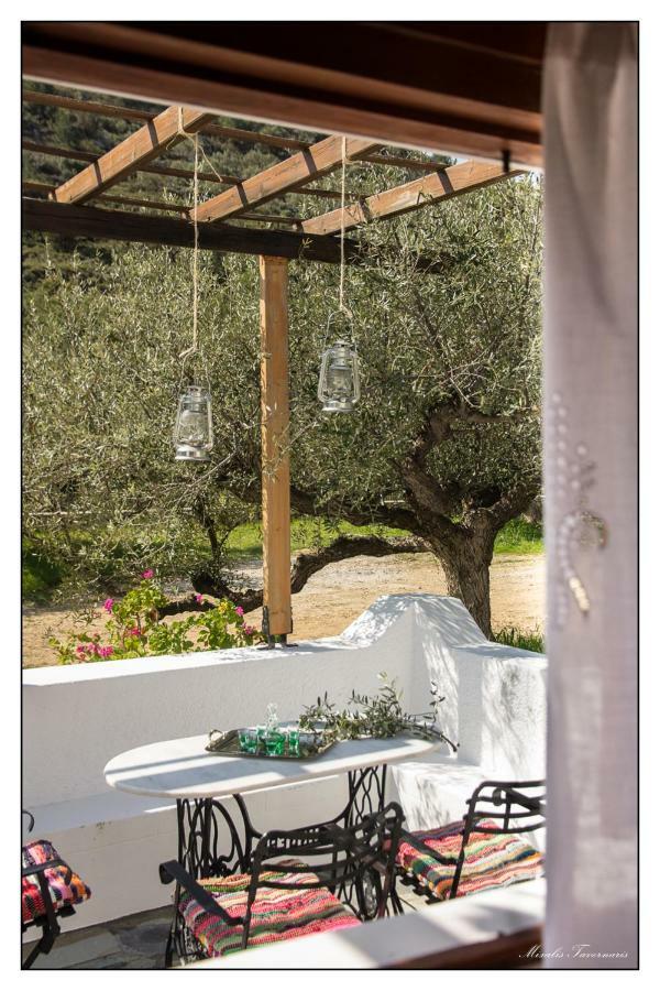 Villa Liodentro House à Karpathos Extérieur photo