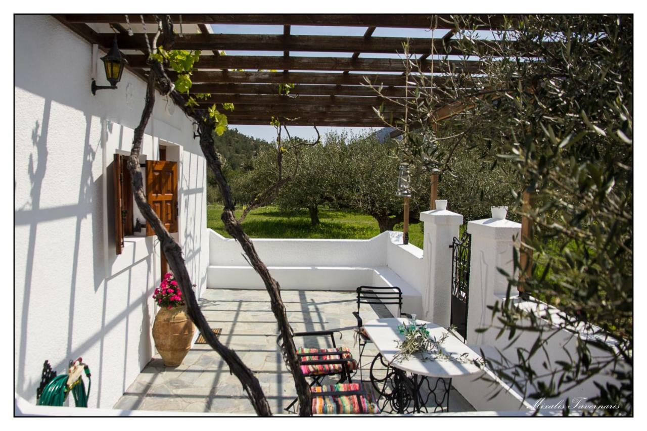 Villa Liodentro House à Karpathos Extérieur photo