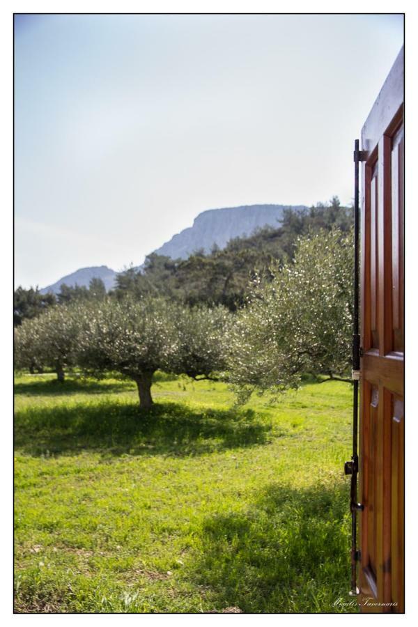 Villa Liodentro House à Karpathos Extérieur photo