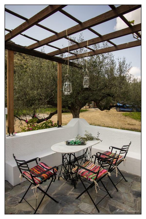 Villa Liodentro House à Karpathos Extérieur photo