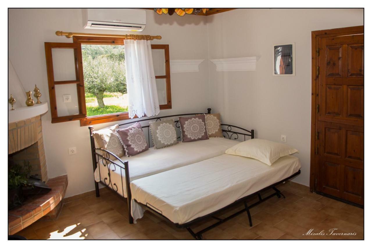 Villa Liodentro House à Karpathos Extérieur photo